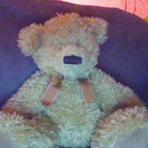 teddy bear